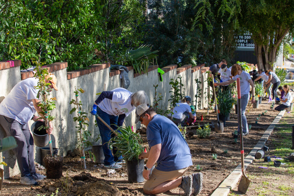 The Rooted Volunteer Campaign was created to provide a series of planting events to help beautify our community.